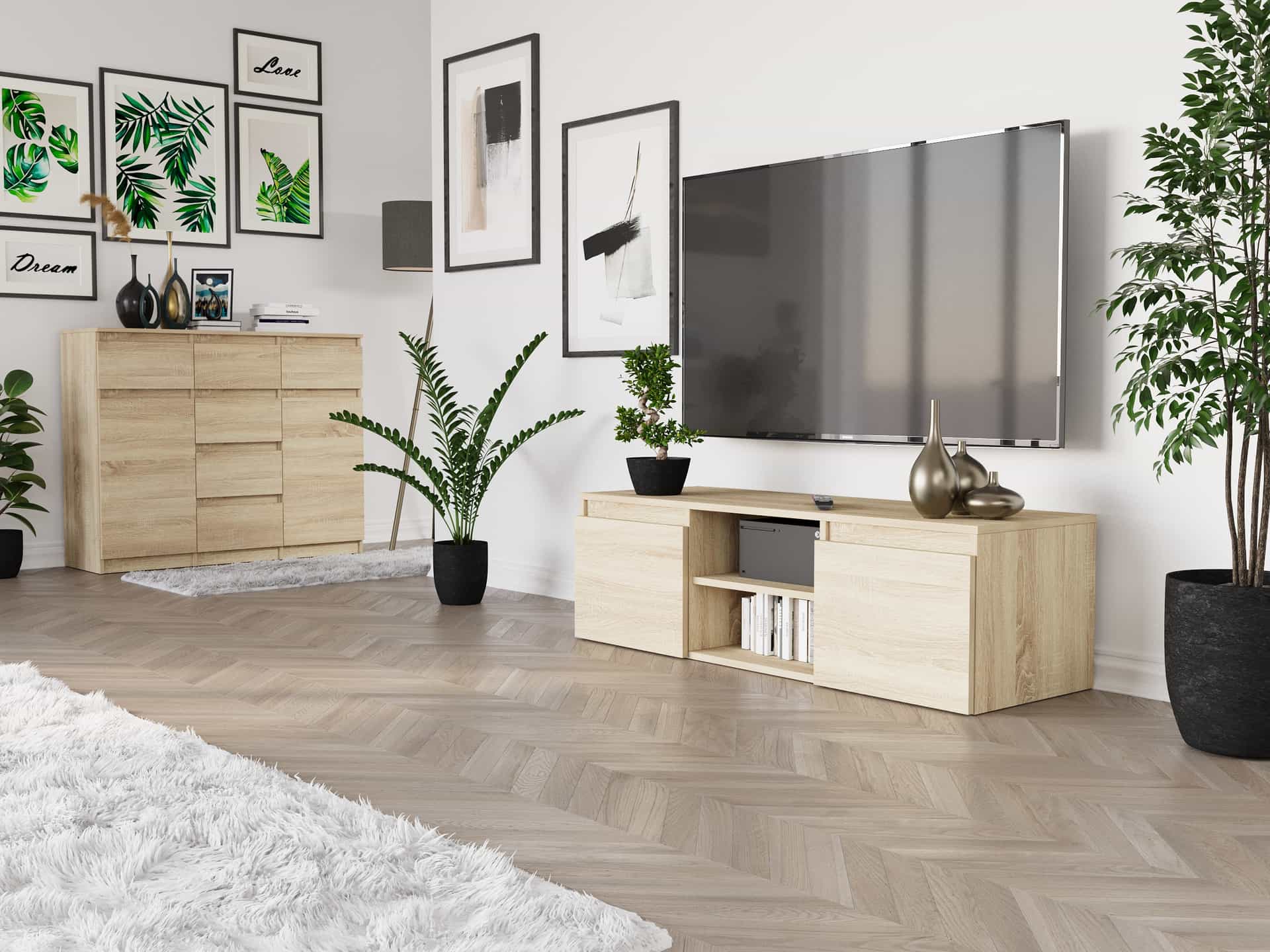 TV skrinka Tania Sonoma 120 x 40 x 36 cm Modern RTV